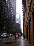 IMGP7922.jpg