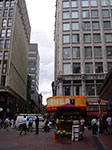 IMGP7950.jpg