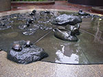 IMGP7973.jpg