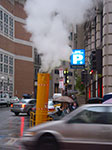 IMGP7976.jpg