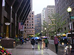 IMGP7978.jpg