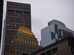 IMGP7988.jpg