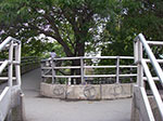 IMGP8013.jpg