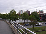 IMGP8014.jpg