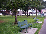 IMGP8017.jpg