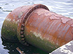 IMGP8064.jpg