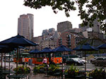 IMGP8082.jpg