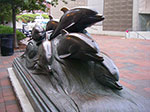 IMGP8087.jpg