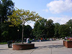 IMGP8154.jpg