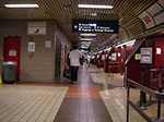 IMGP8181.jpg