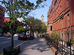 IMGP8206.jpg
