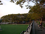 IMGP8223.jpg
