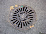 IMGP8224.jpg