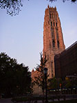 IMGP8227.jpg