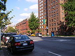 IMGP8240.jpg
