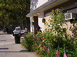 IMGP8242.jpg