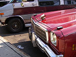 IMGP8245.jpg