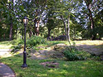 IMGP8247.jpg