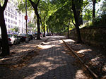 IMGP8249.jpg