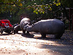 IMGP8281.jpg