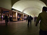 IMGP8381.jpg