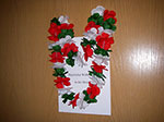 IMGP8424.jpg