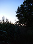 IMGP8493.jpg