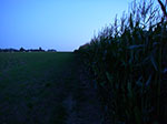 IMGP8498.jpg