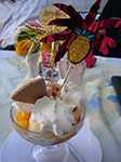 IMGP8524.jpg