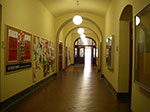 IMGP8530.jpg