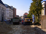 IMGP8532.jpg
