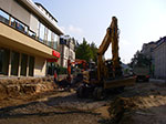 IMGP8541.jpg