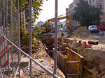 IMGP8542.jpg