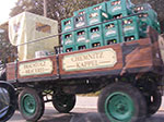 IMGP8547.jpg