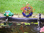 IMGP8548.jpg