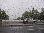 IMGP8563.jpg
