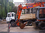 IMGP8573.jpg