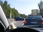 IMGP8604.jpg