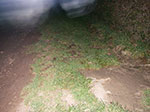 IMGP8688.jpg