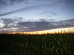 IMGP8696.jpg