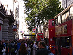 IMGP8873.jpg