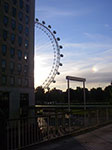 IMGP8879.jpg