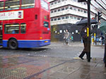 IMGP9021.jpg