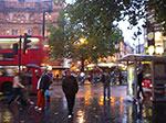 IMGP9041.jpg
