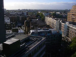 IMGP9091.jpg