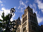 IMGP9144.jpg