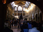 IMGP9145.jpg