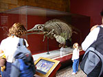 IMGP9148.jpg