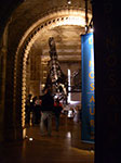IMGP9149.jpg