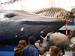 IMGP9165.jpg